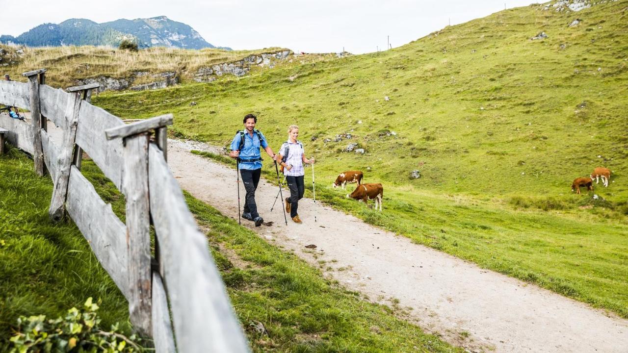 Pension Wolfsegg Kirchberg in Tirol Ngoại thất bức ảnh