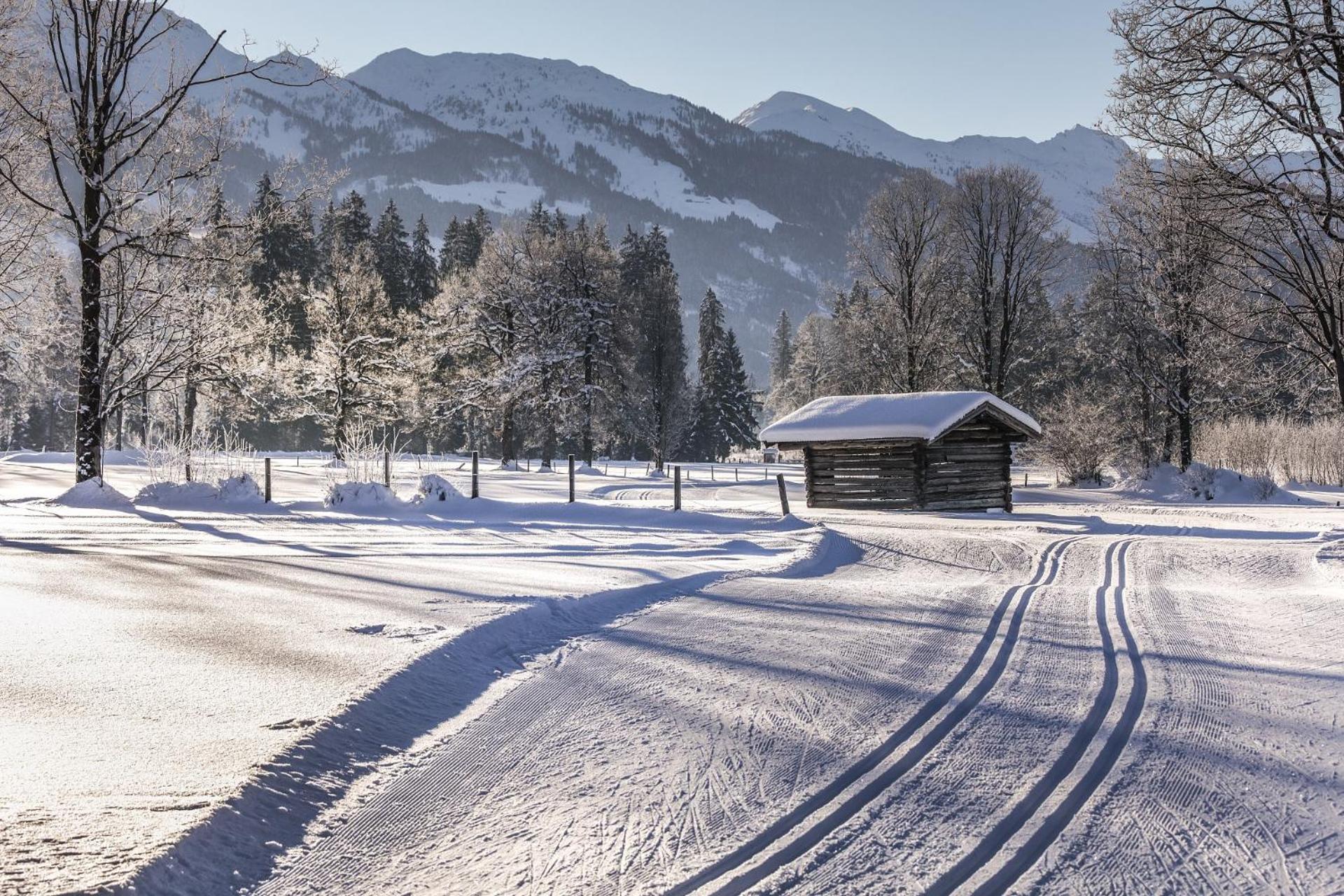 Pension Wolfsegg Kirchberg in Tirol Ngoại thất bức ảnh